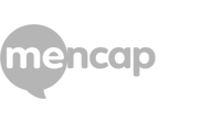 Mecap Grey Logo